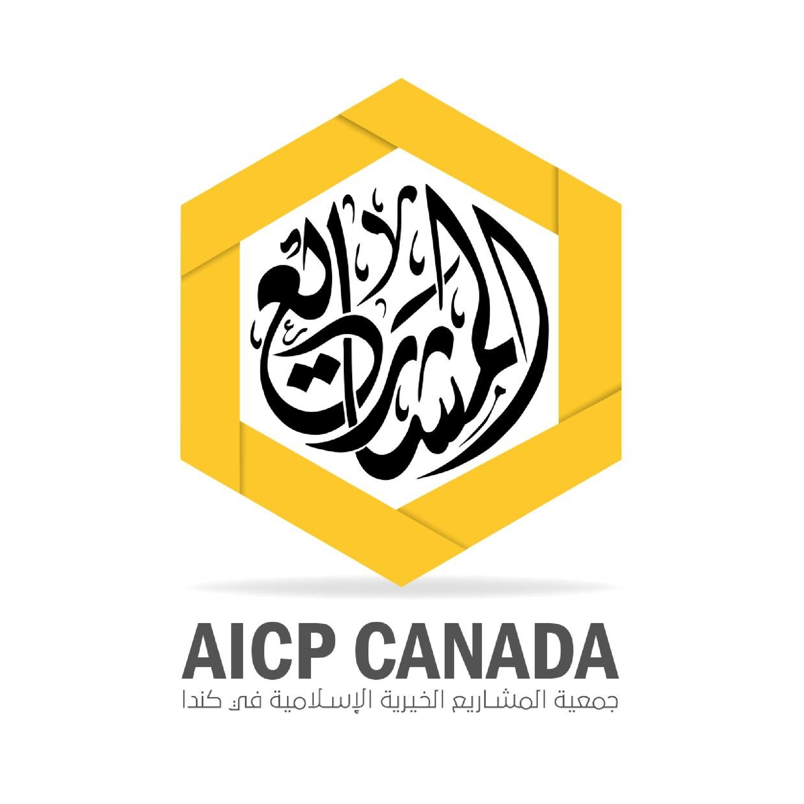 Salahouddine Mosque Logo